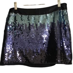 Express Skirt, Sequence Skirt, Size: 8